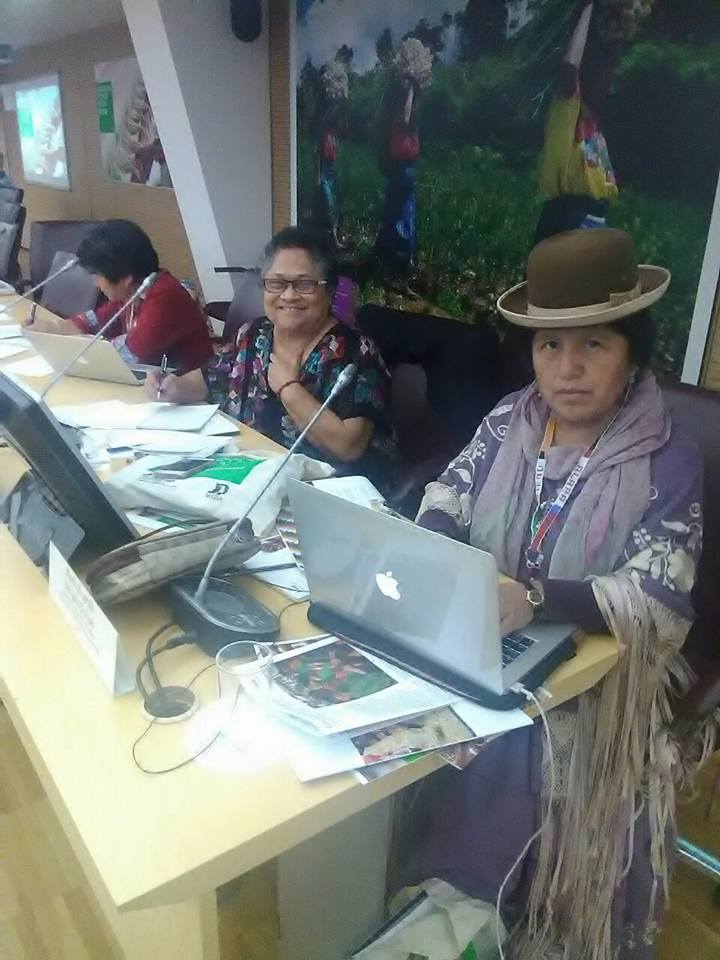 Mirna Cunningham, Presidenta del Centro para la Autonomía y Desarrollo de los Pueblos Indígenas y Primera Vicepresidenta del FILAC