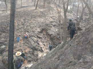 En esta parte dl bosque fueron encontrados algunos cadáveres. Foto: Juana García